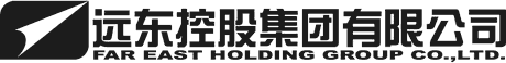 远东控股集团有限公司 Logo