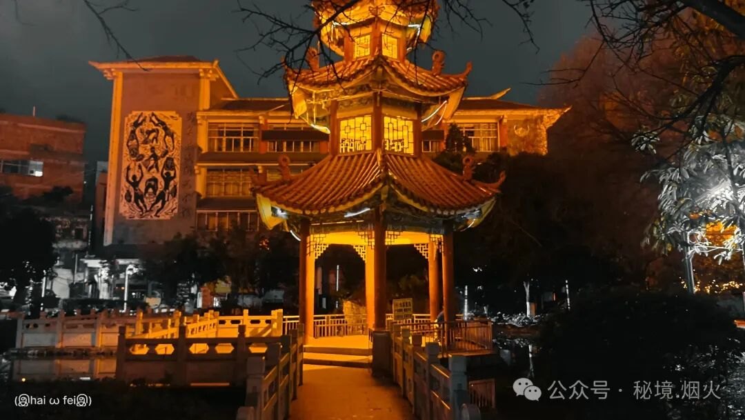 会员视界 | 那些藏在杨凤金镜头里的人间烟火(图5)